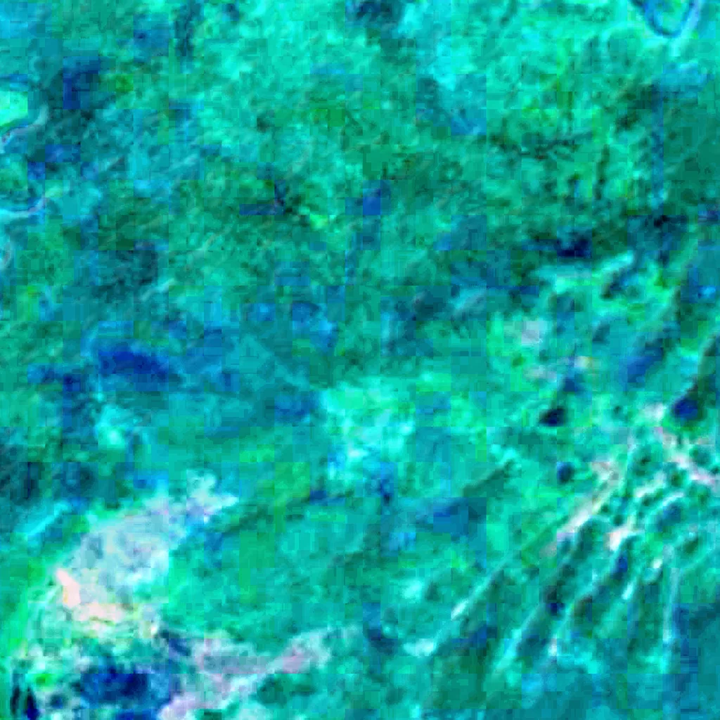 Sarstoon-Temash Nationalpark von oben gesehen (Sentinel-2)