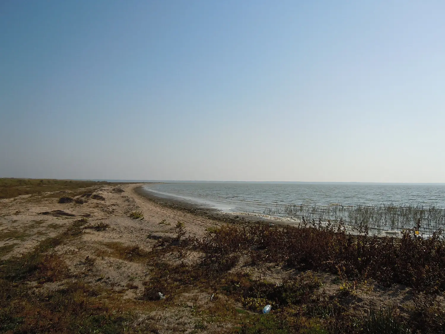 Sasyk Lagoon coast