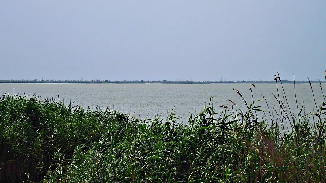 Tatarbunars'kyi district, Odessa Oblast, Ukraine - panoramio (11)