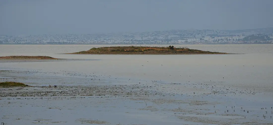 Sabkha21 SIJOUMI