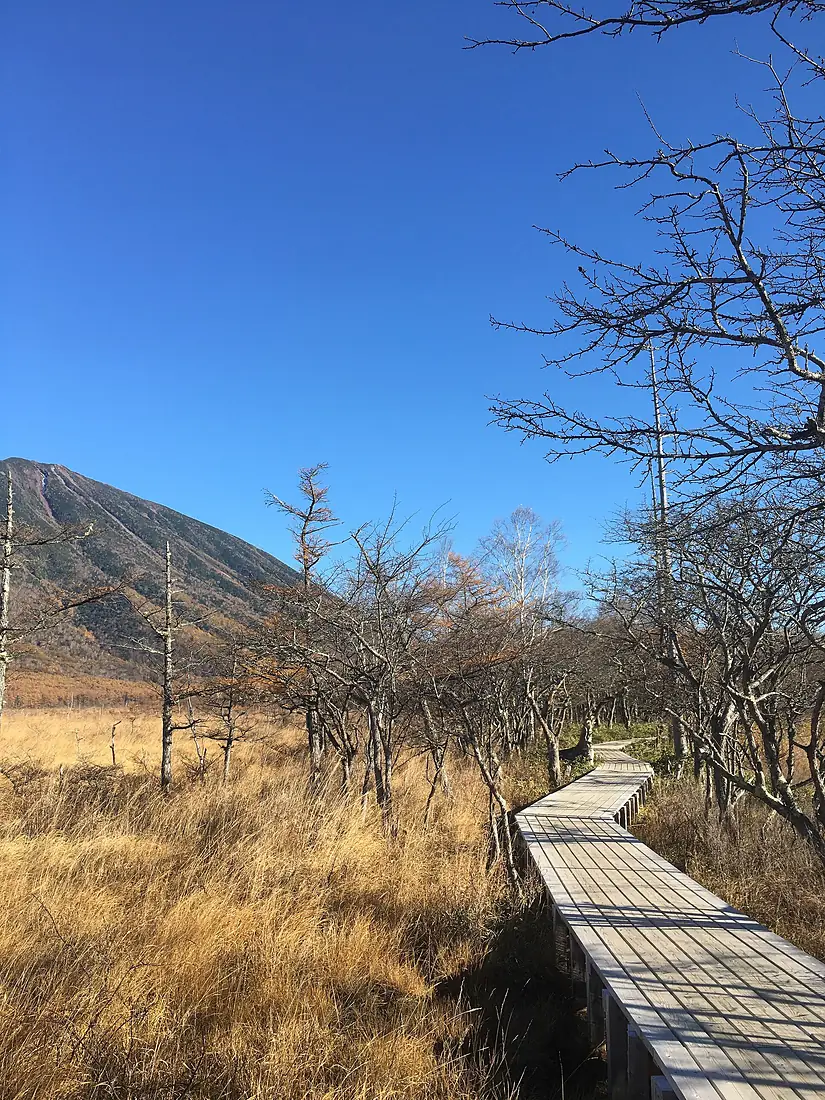 Senjogahara - autumn - oct 29 2021 various 18 52 36 355000