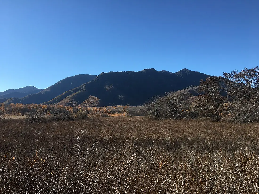 Senjogahara - autumn - oct 29 2021 various 18 53 48 934000