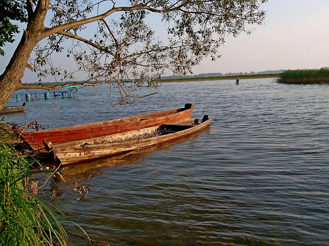 Лодочки під вербою