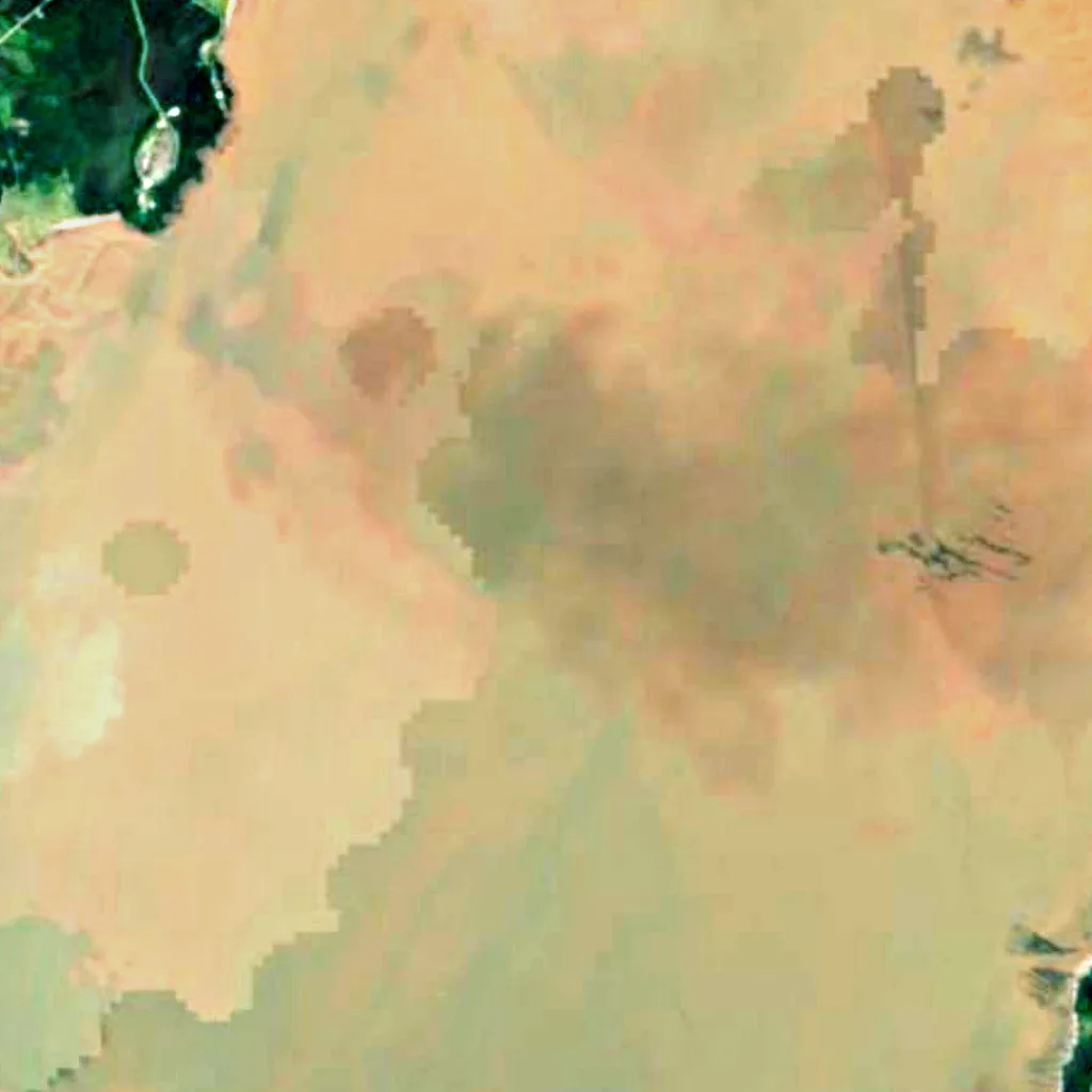 Shepody Bay seen from above (Sentinel-2)