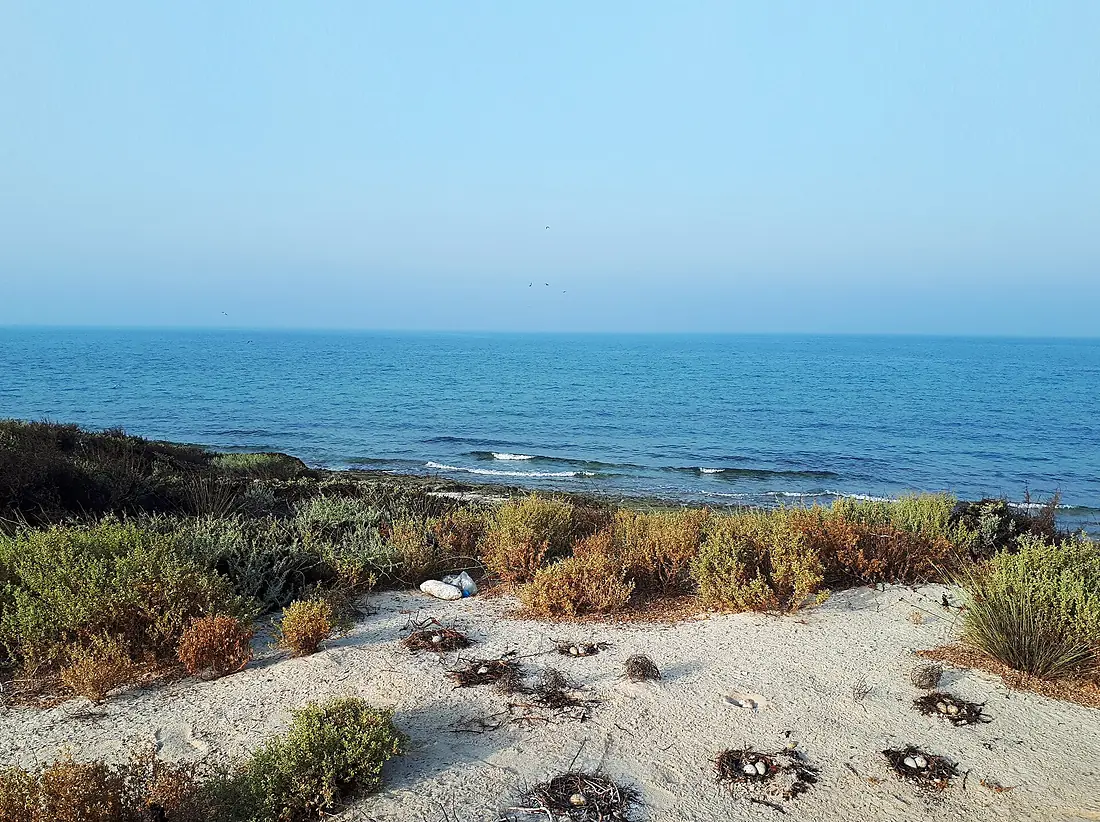 Sheedvar Island