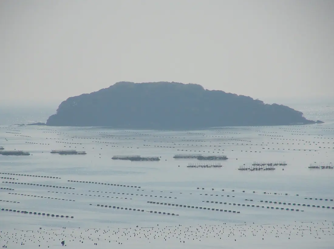 Tsubaki Island Minami Sanriku