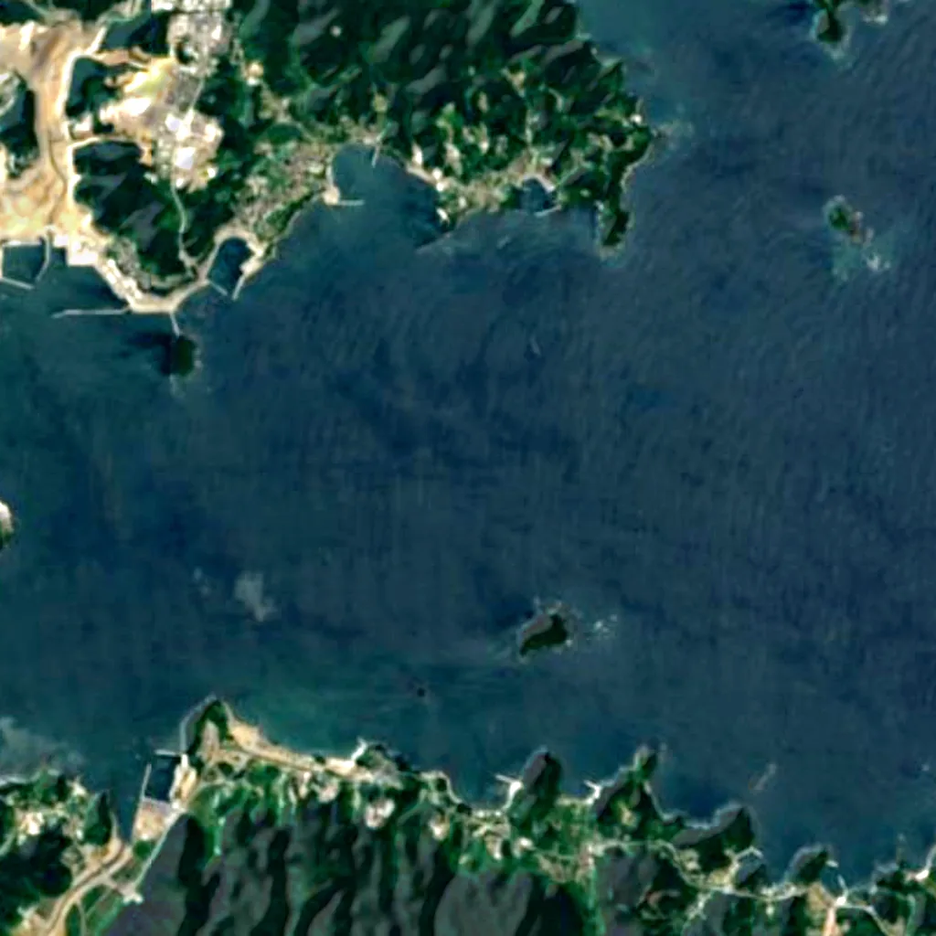 Shizugawa Bay seen from above (Sentinel-2)