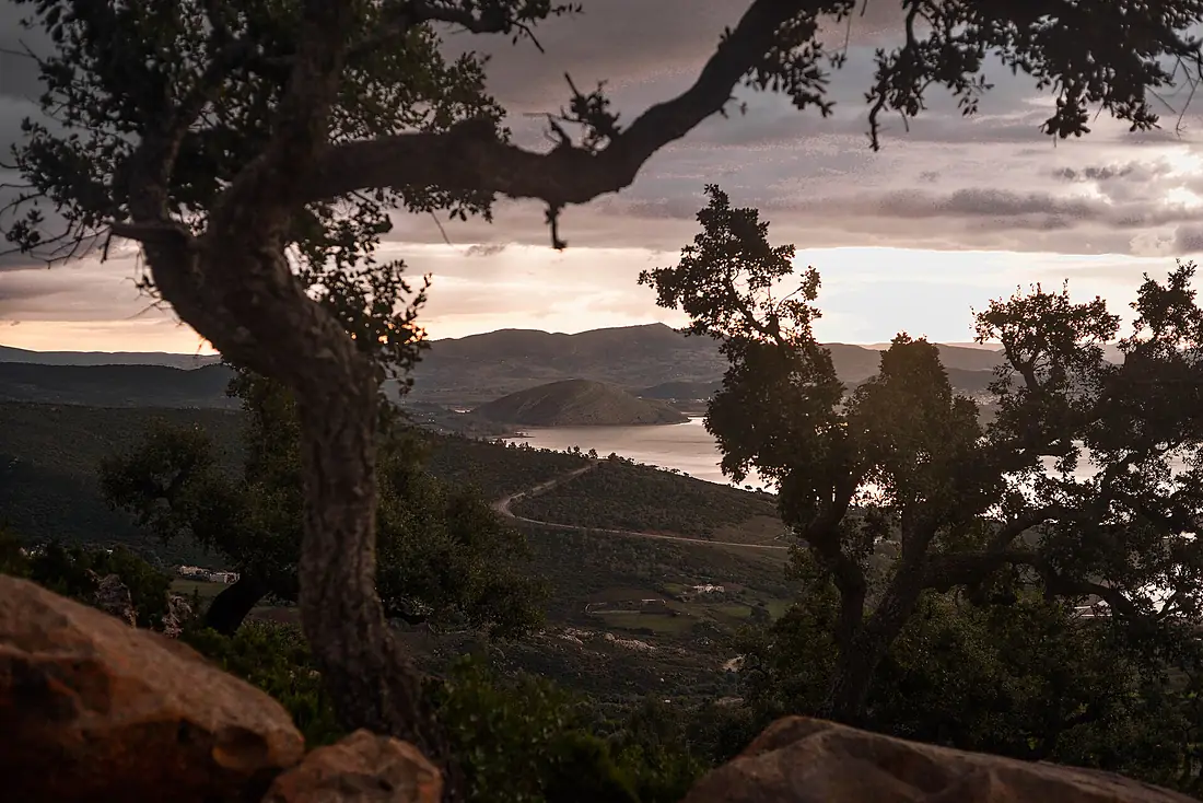 Barrage de Sidi El Barrak - Nefza