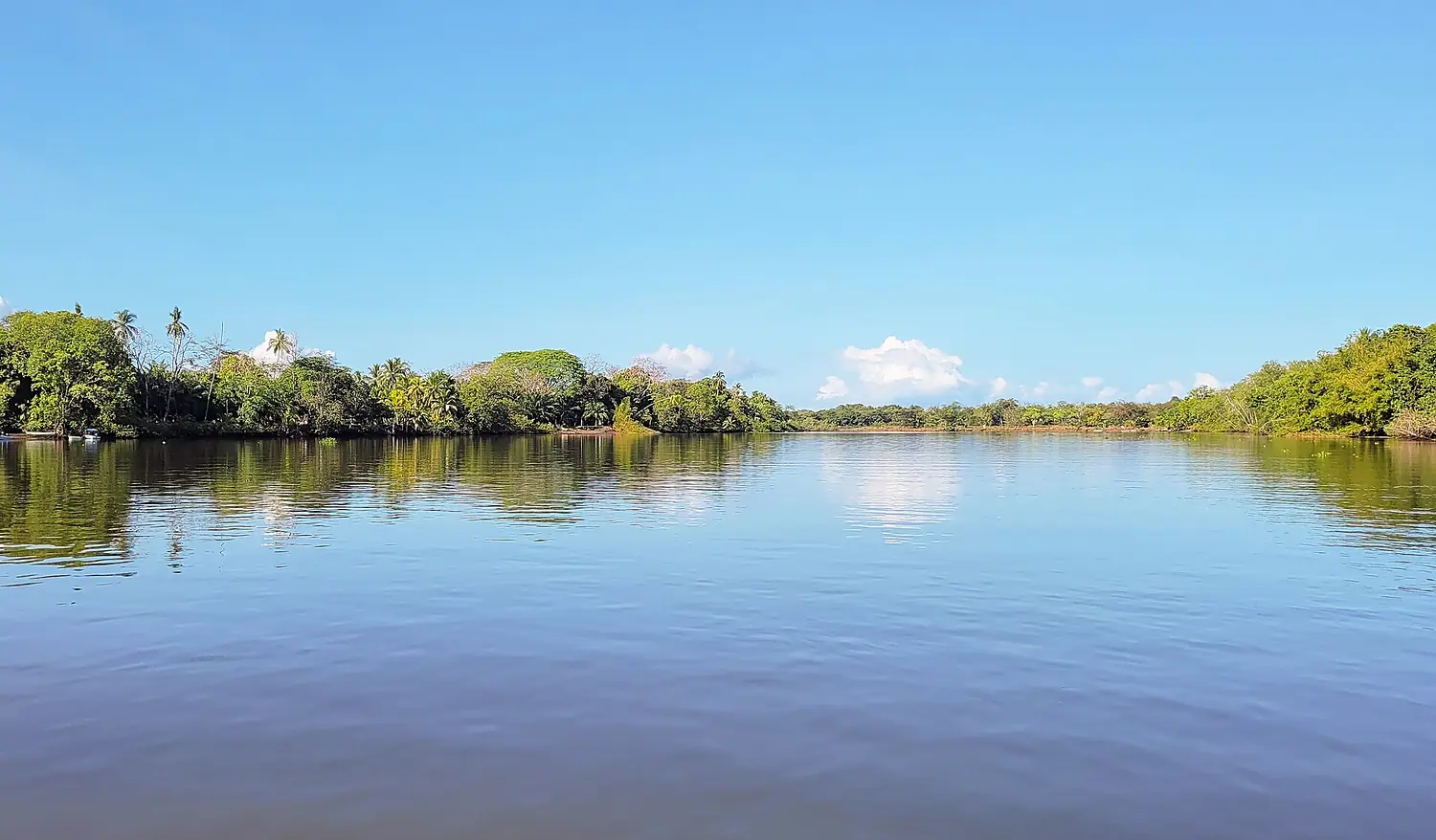 Sierpe River, Costa Rica