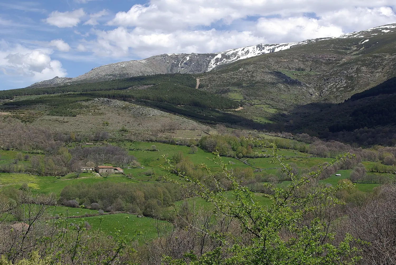 Candelario 08 by-dpc