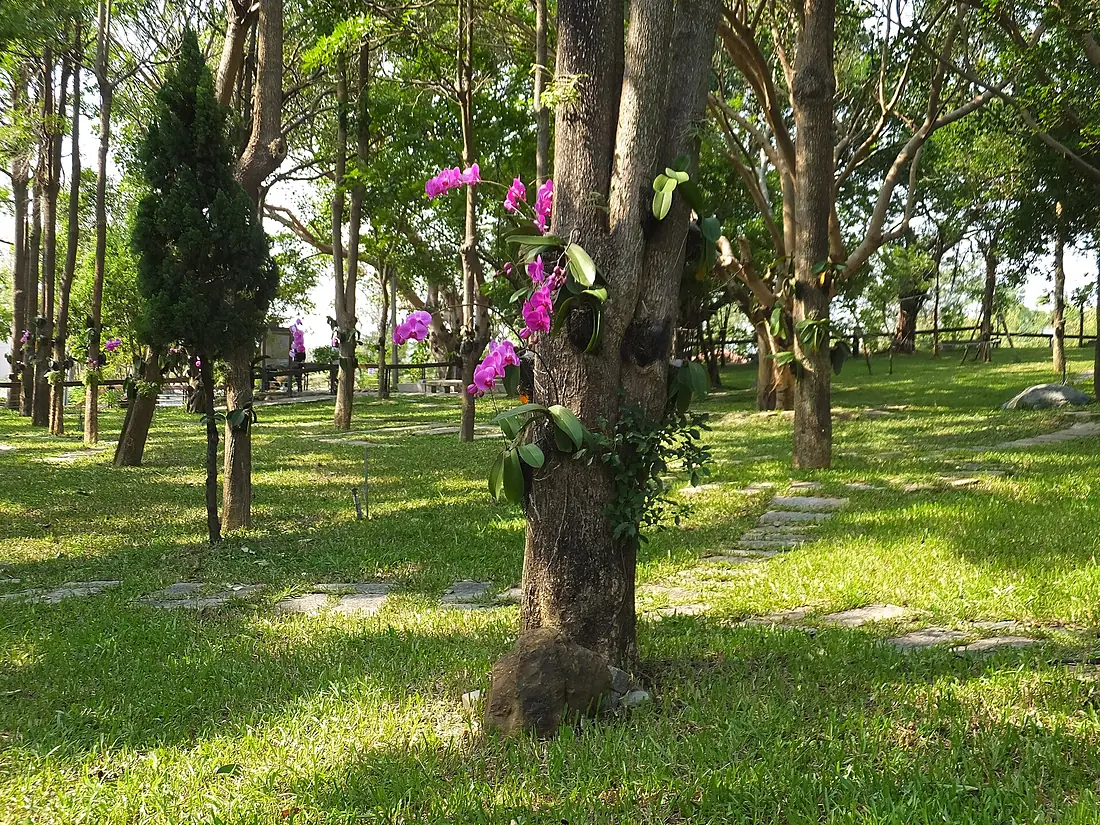 Sicao Dazhong Temple 四草大眾廟 - panoramio (3)