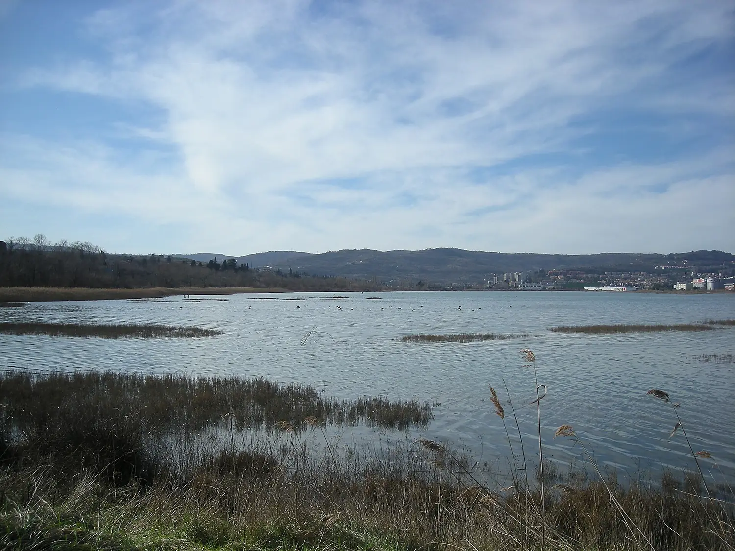 Škocjanski zatok 04