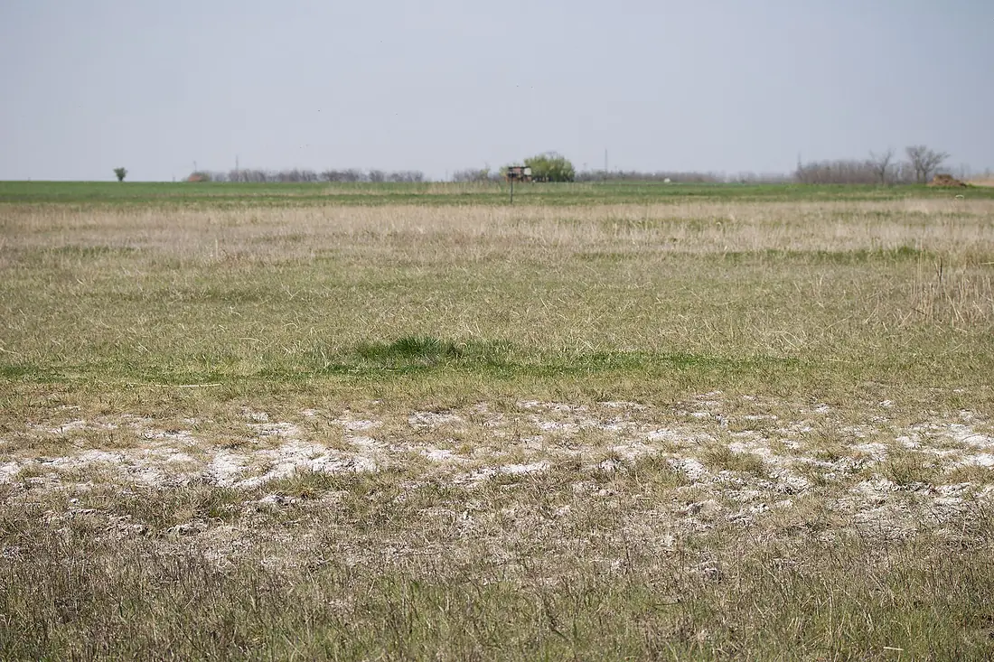 Slano Kopovo - slatina