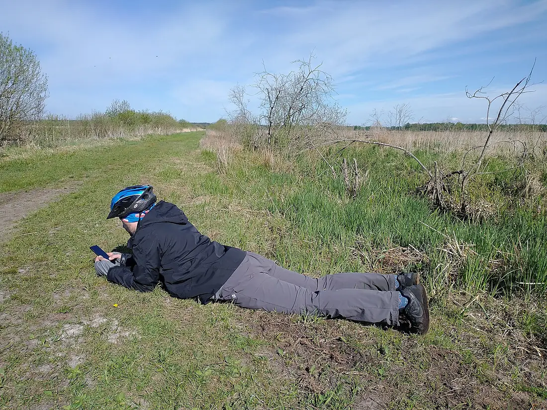 Cyclist on the field (Slowinski National Park) Izbica