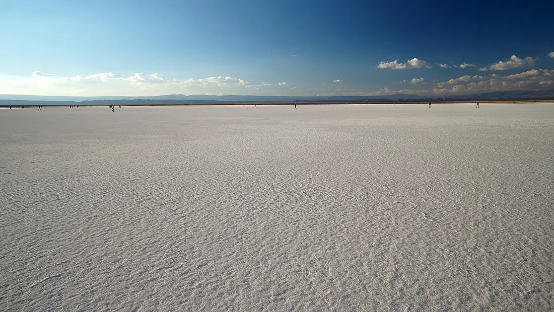 Laguna (salar) Tebinquinche - 1 (13340933464)
