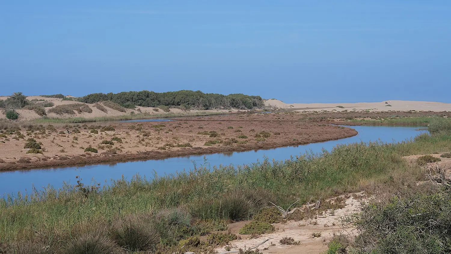 Massa River Sidi Rabat Morocco Oct25 A7CR 08049