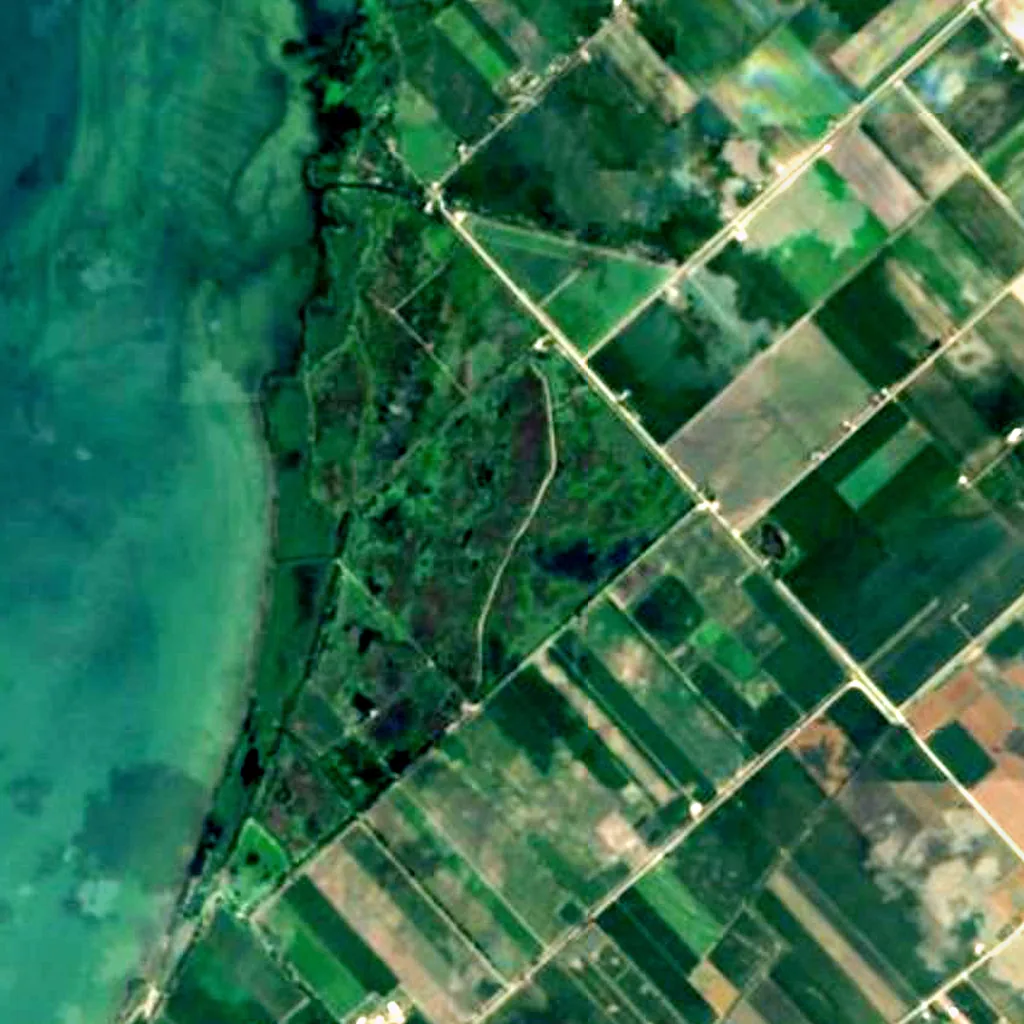 St. Clair National Wildlife Area visto de cima (Sentinel-2)