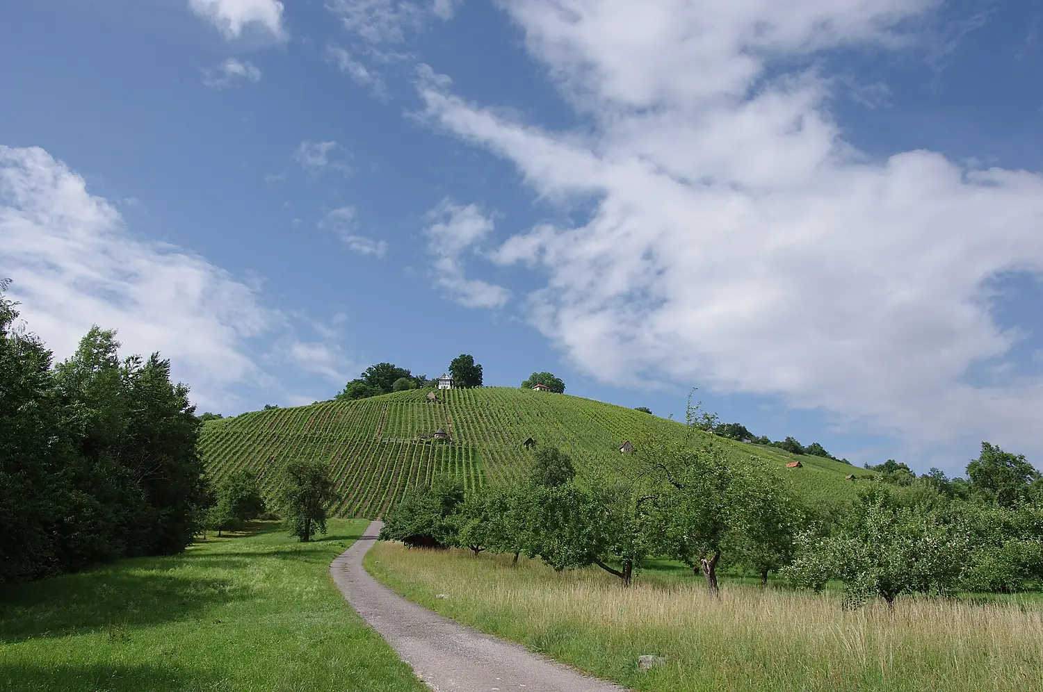 Schorndorf Grafenberg 2011-06-19