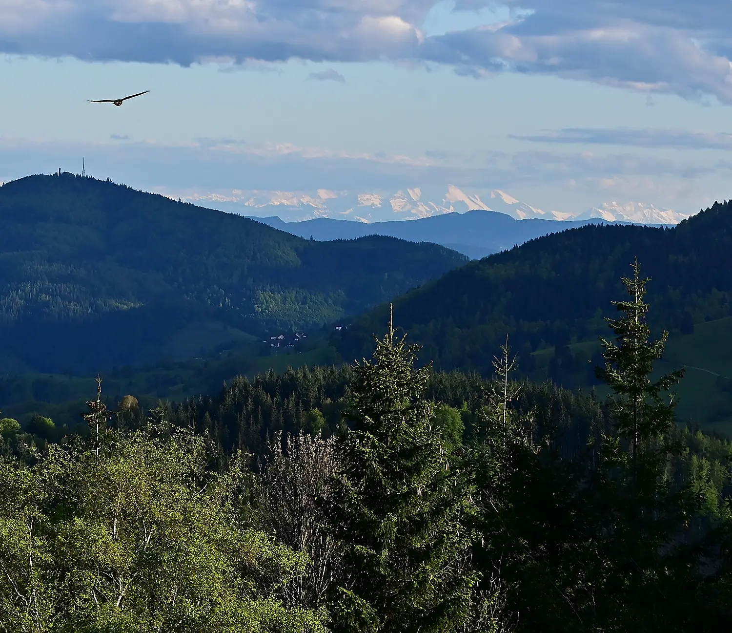 Seltene Alpensicht im Sommerhalbjahr