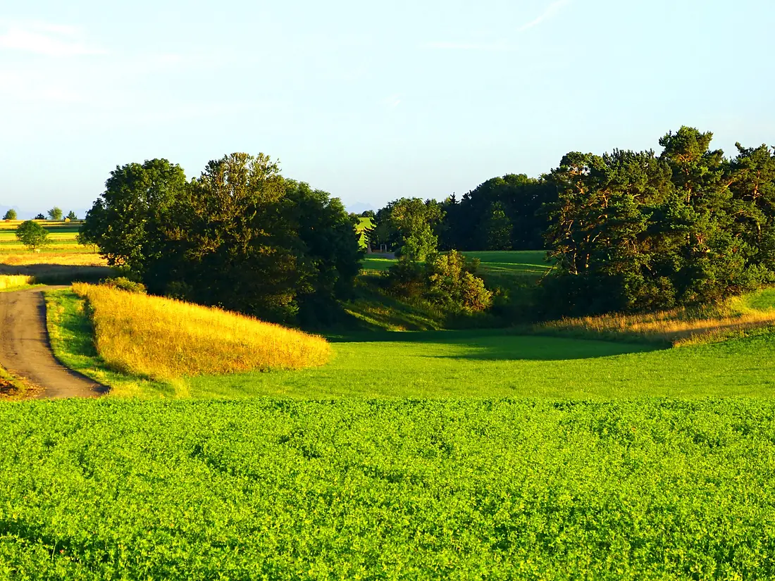 A Small Valley - panoramio