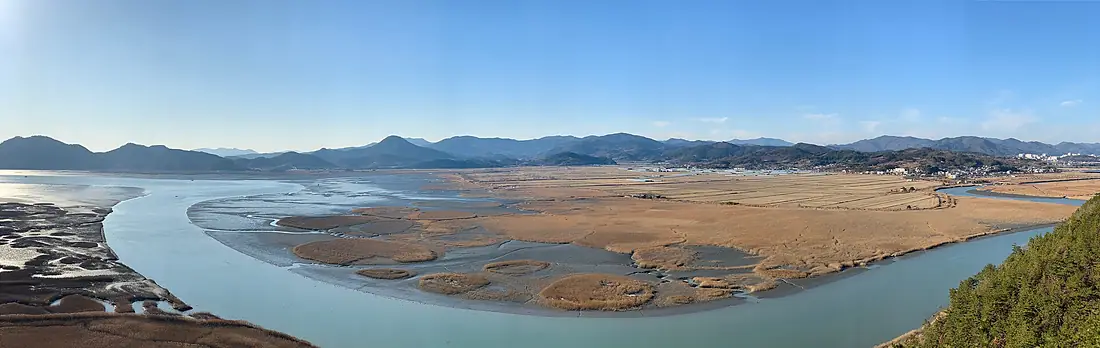 20181231 Suncheon Bay 003