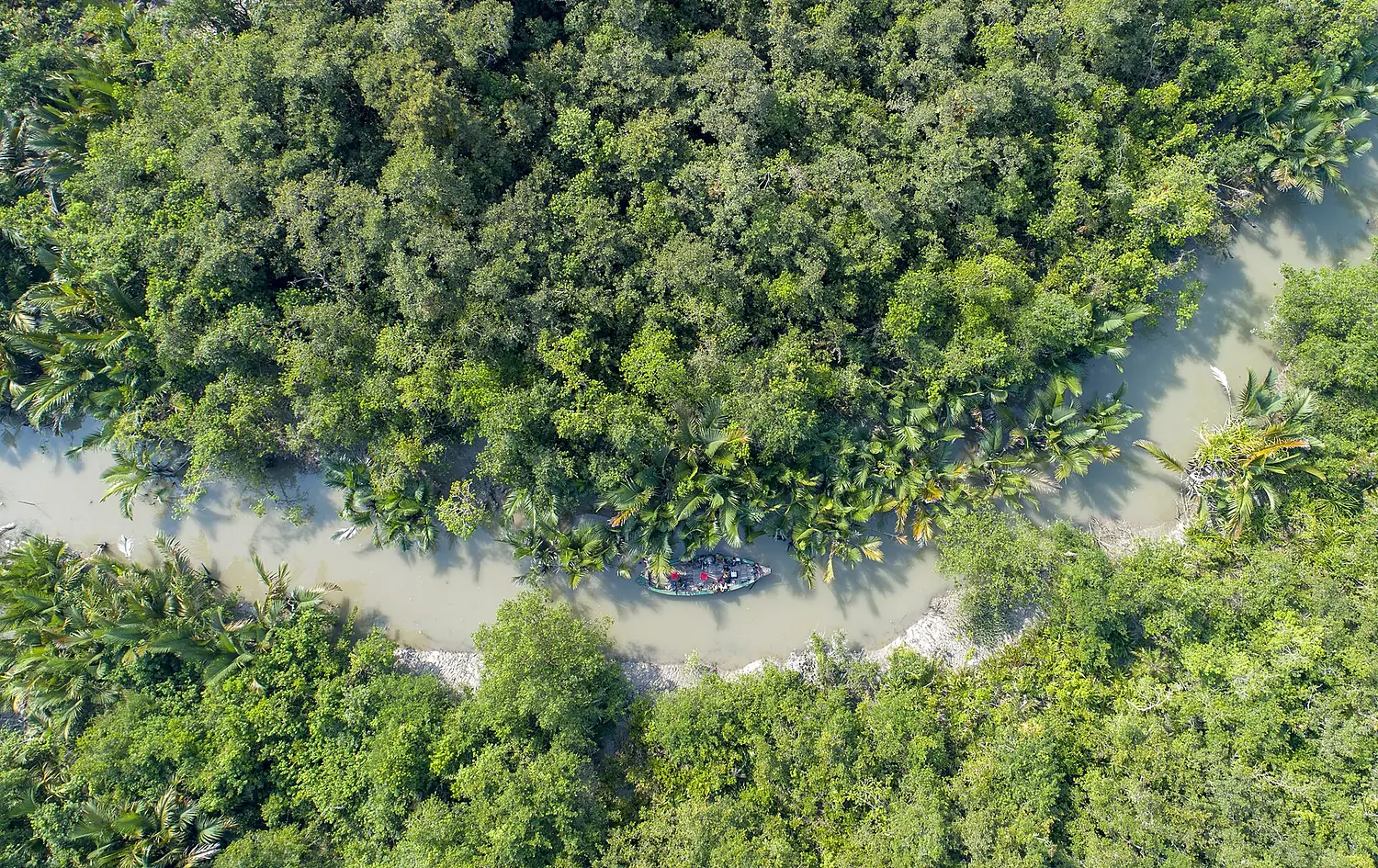 Boat in the middle of a jungle
