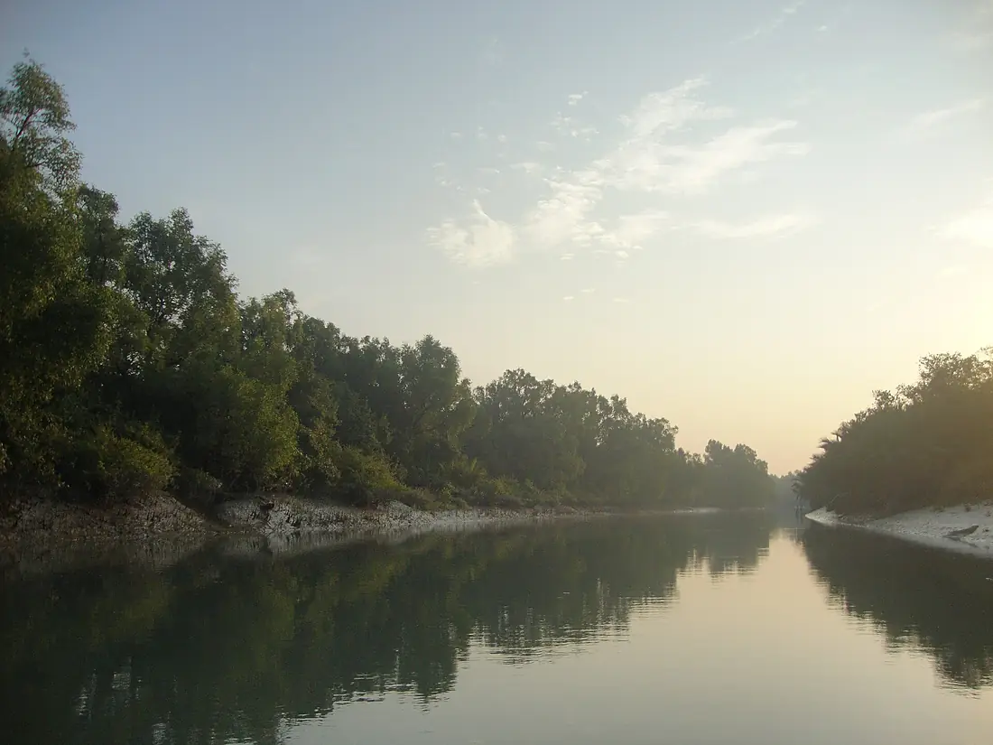 A View of the Largest Mangrove Forest in the World