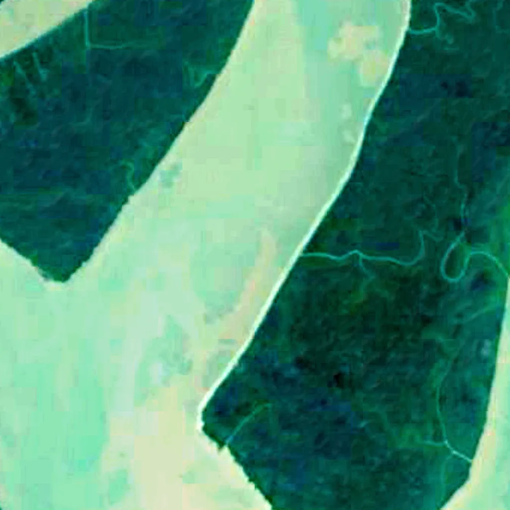 Sundarbans Reserved Forest seen from above (Sentinel-2)