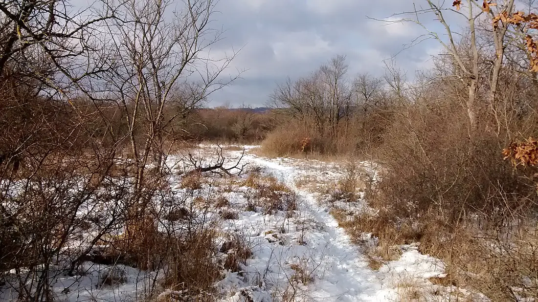 National Nature reserve Sur in winter