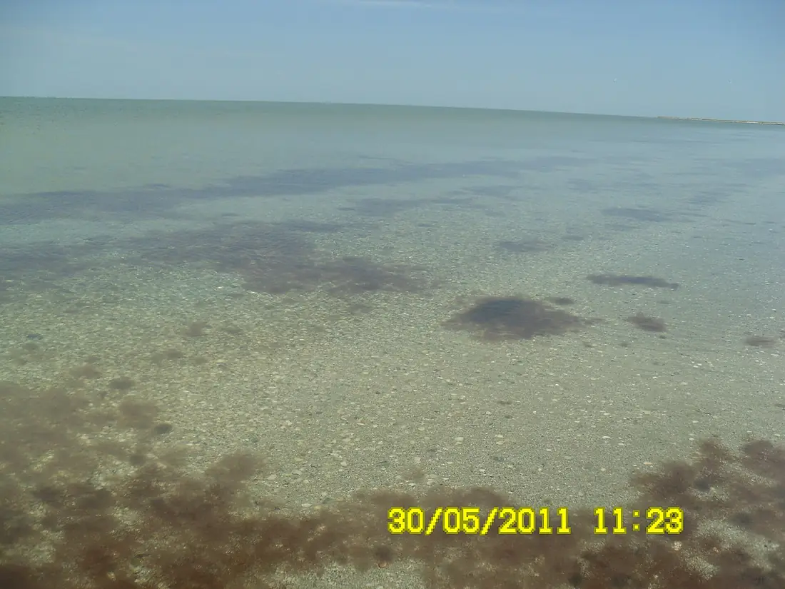 Ukraine, Krym, Nyzhnohirskyy - Eastern Part of Syvash (Rotten Sea) WMID3322575