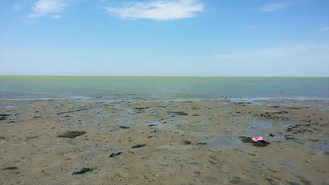 Syvash Lake