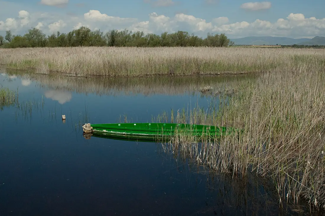 Tablas de Daimiel, Ciudad Real 09
