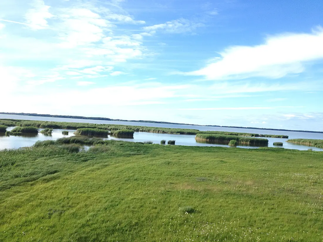 Tåkern 2