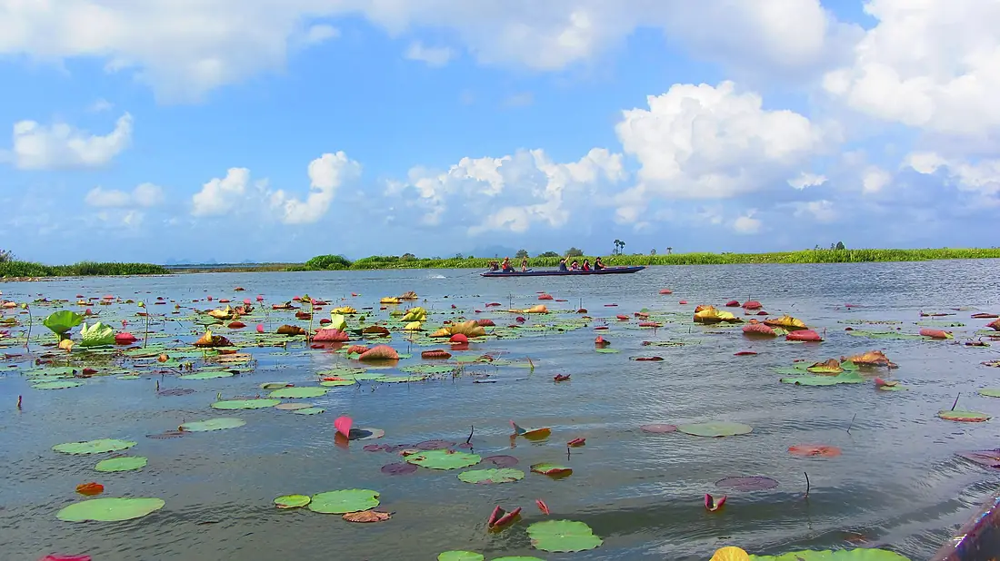 Thale Noi - panoramio