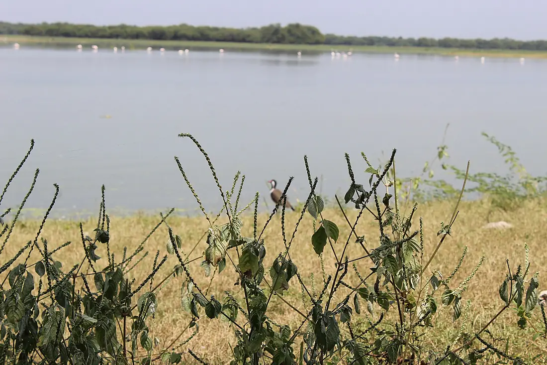 IMG0666 Thol lake by jay481982