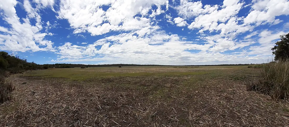 Thomsons Lake panorama, January 2021