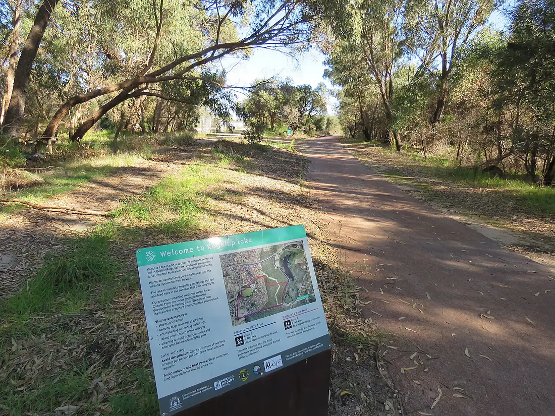 Path between and Thomsons Lake and Kogolup Lake, Beeliar Regional Park, June 2021