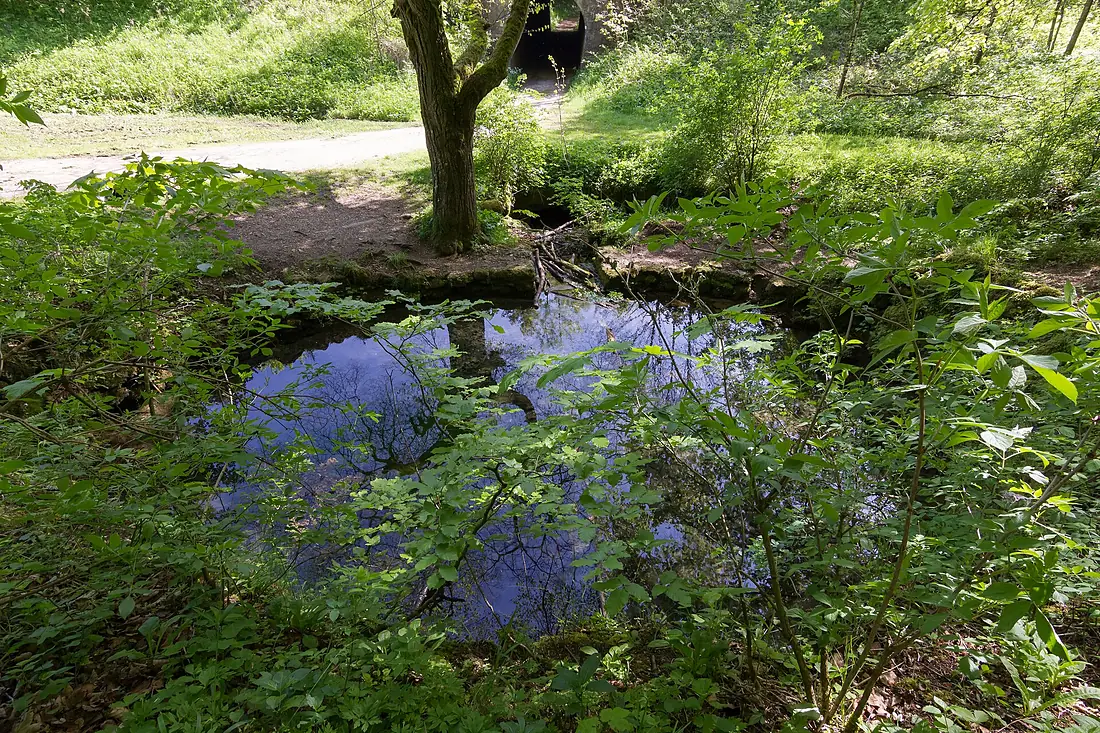Baden-Württemberg, Aufhausen, Naturschutzgebiet Tierstein mit Hangwald und Egerquelle, WDPA 82716-2