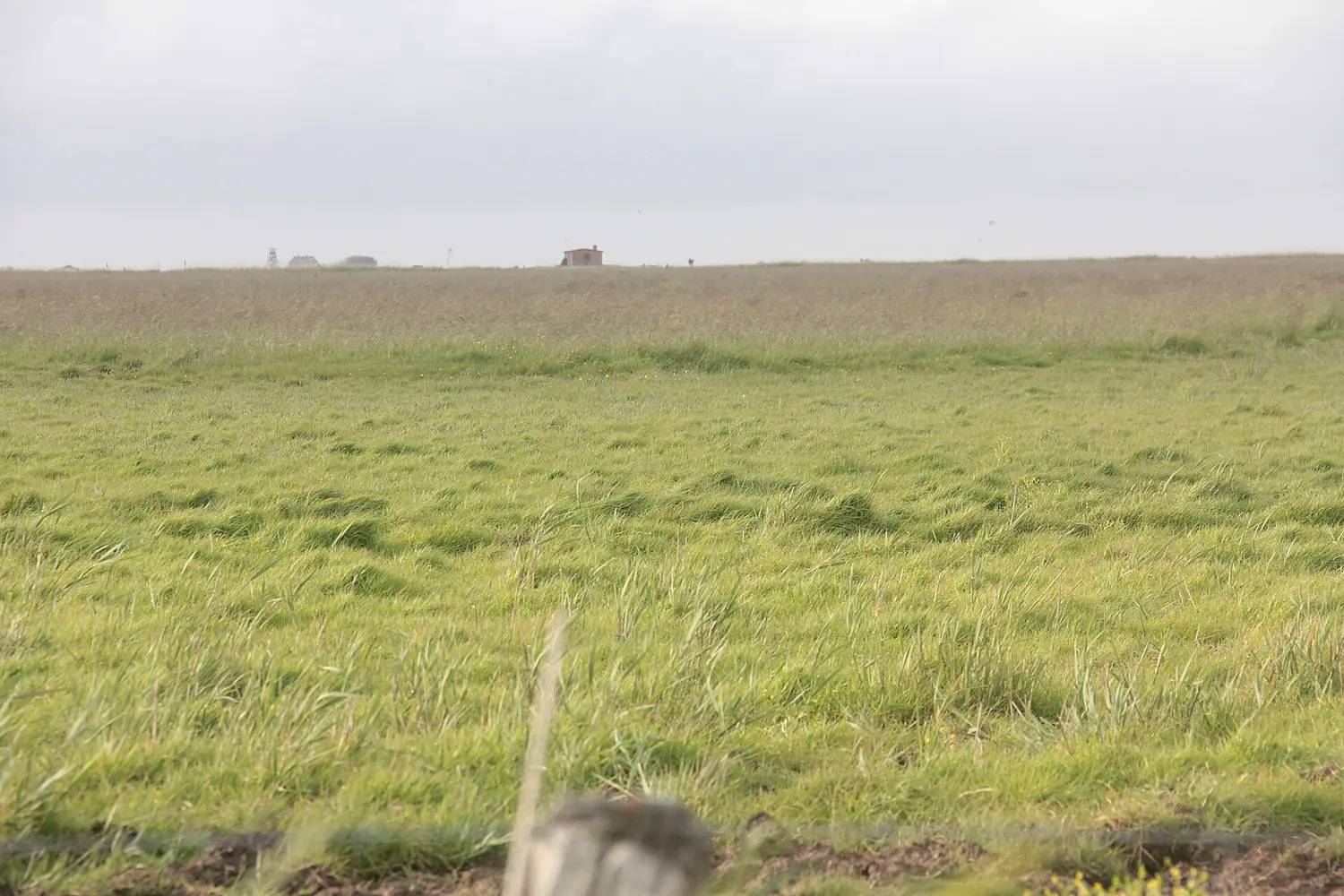 TipperneRinkkoing2