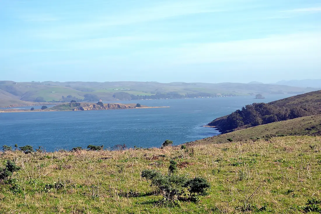 Tomales Bay as viewed from Tomales Point Trail 4