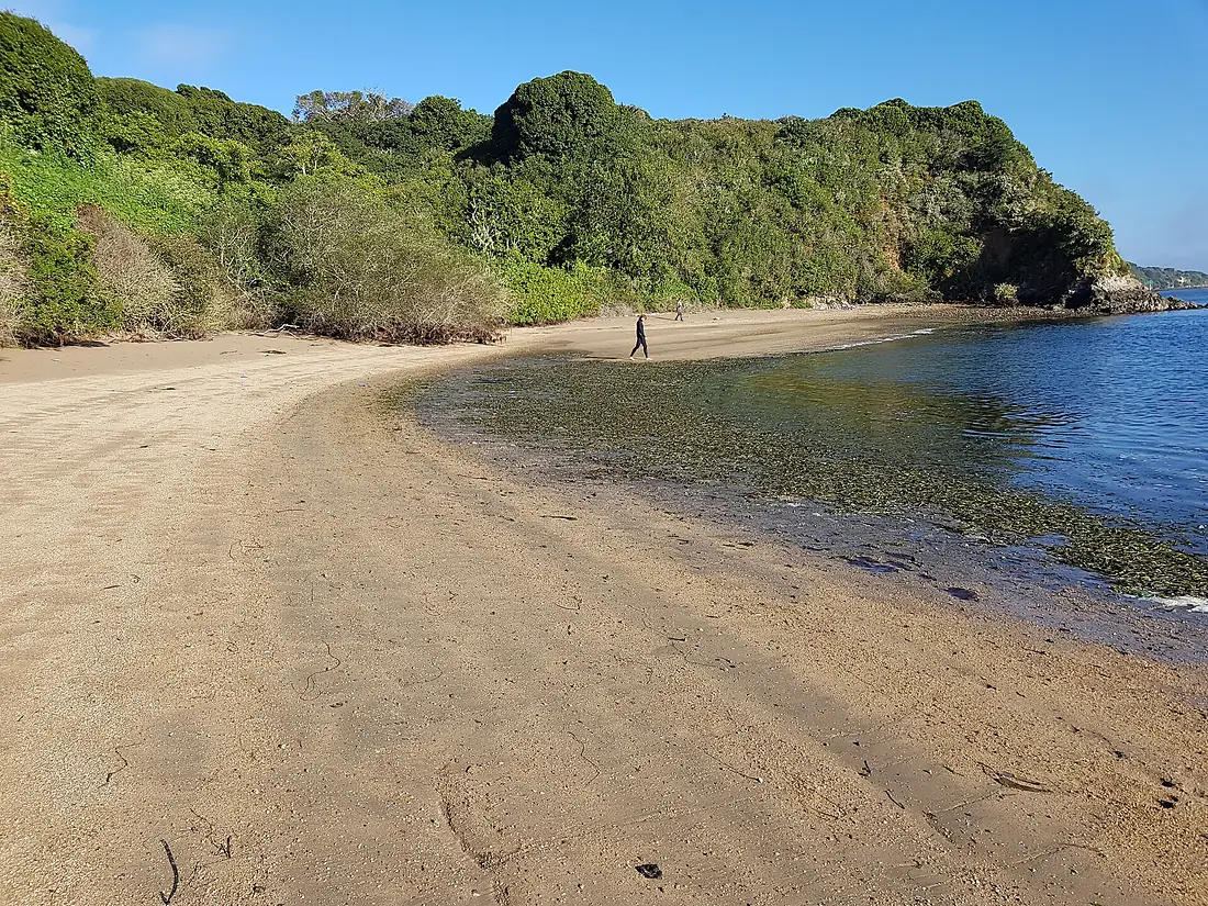 Beach in Tomales Bay