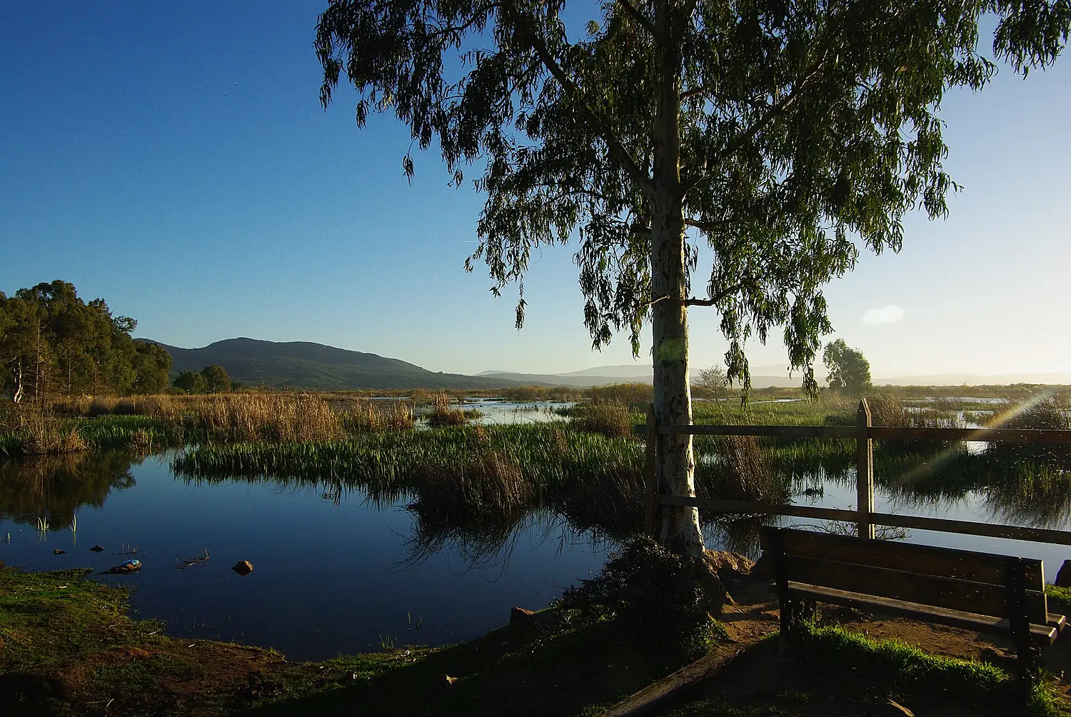 Lac Tonga El Kala