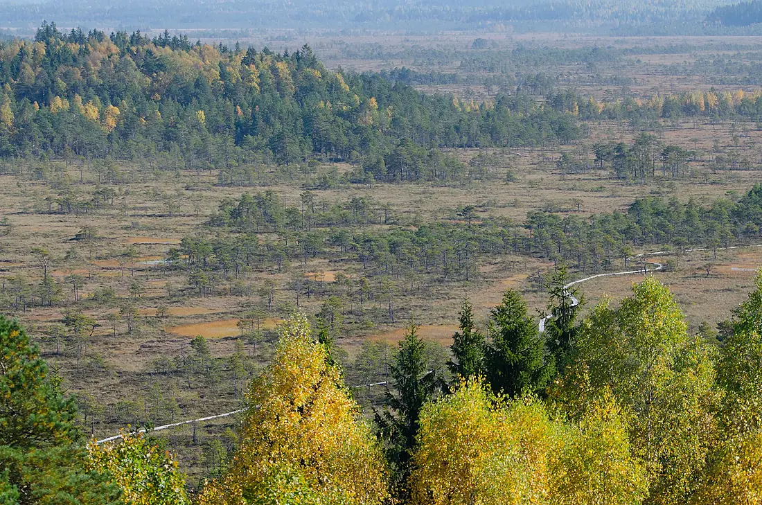 Torronsuo National Park - Kiljamo Scenic Tower (23698328158)