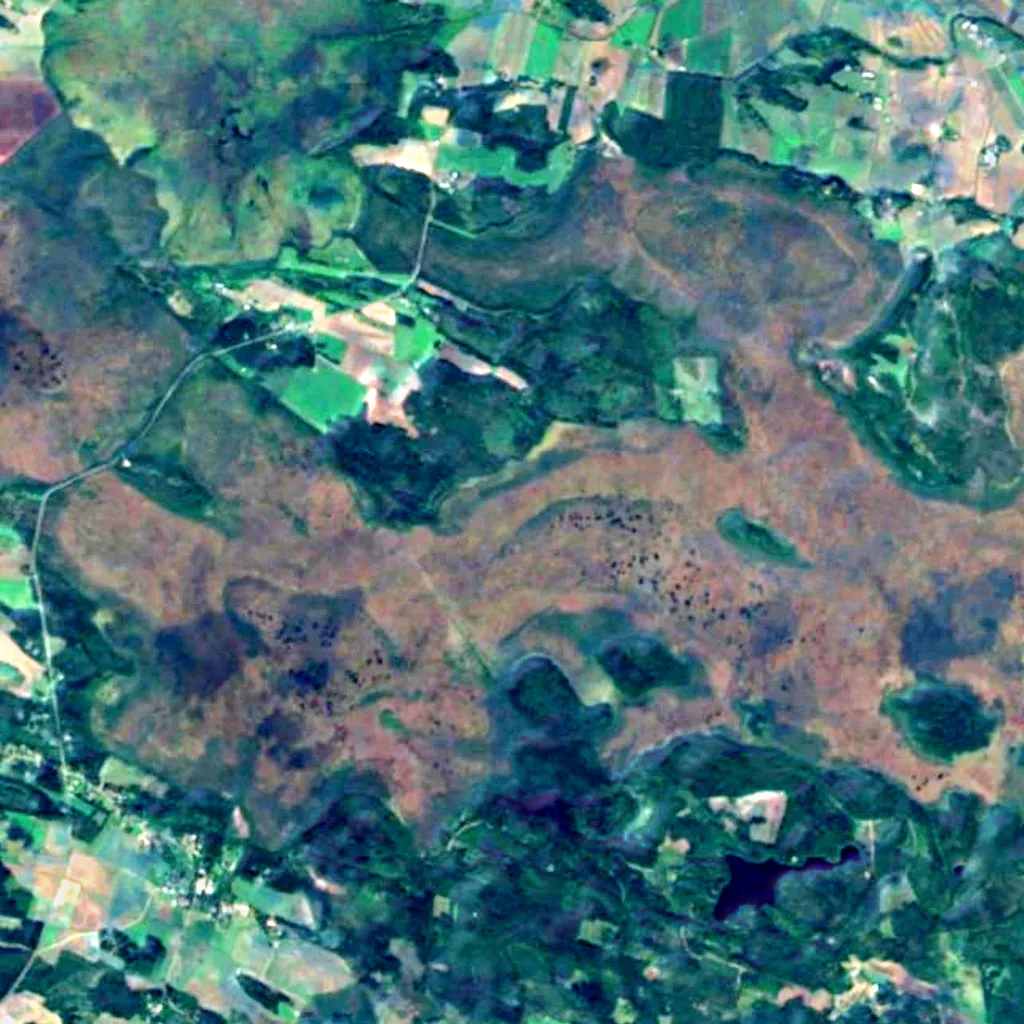 Torronsuo National Park van boven gezien (Sentinel-2)