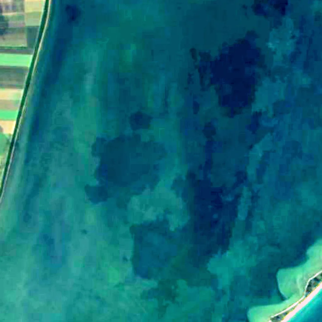 Tuzly Lagoons National Nature Park seen from above (Sentinel-2)