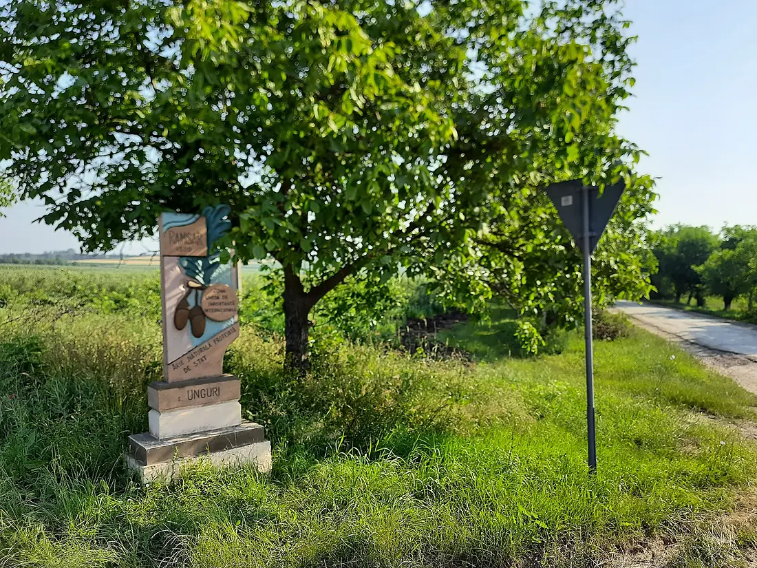MD.OC - monument informativ Unguri–Holoșnița - jun 2021 - 01