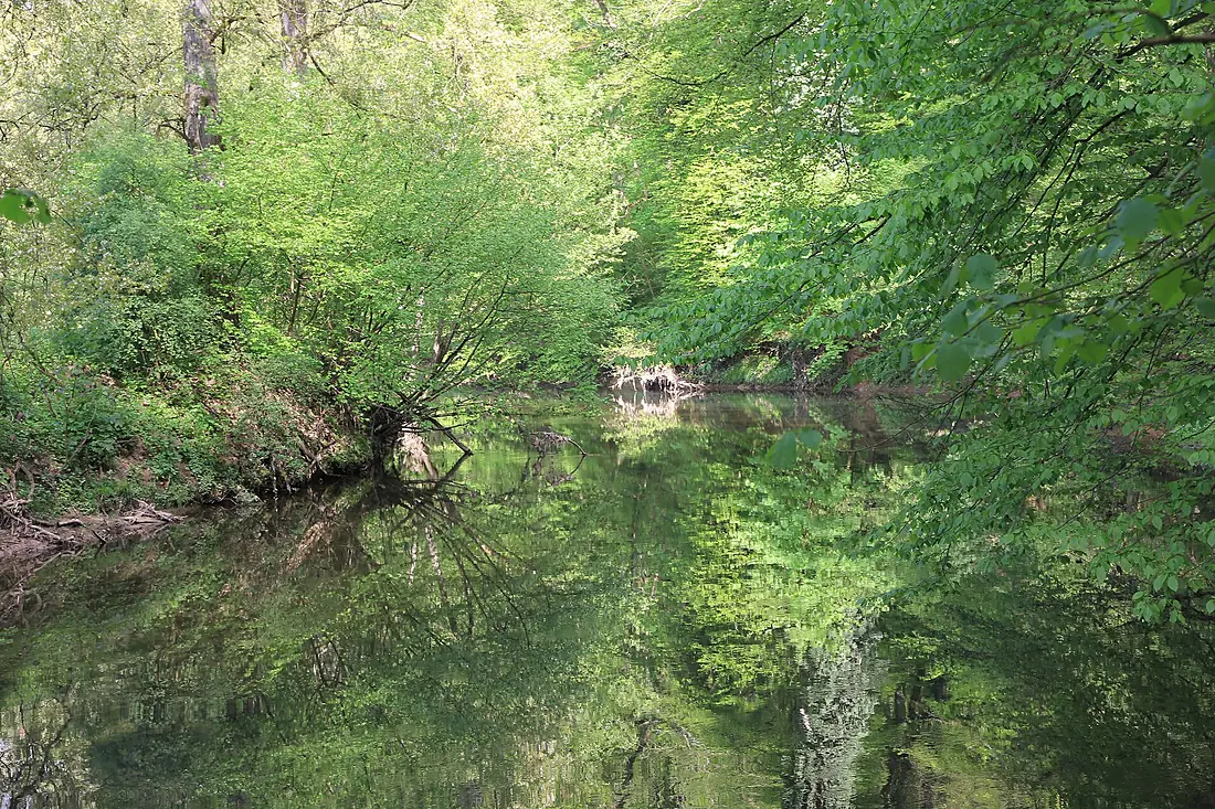 Naturschutzgebiet "Unteres Remstal" Rems