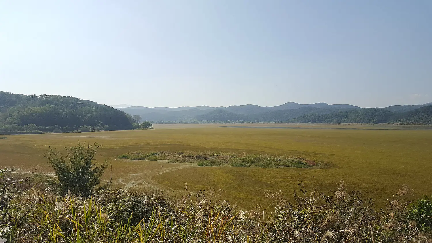 Upo Wetland's Many Colours
