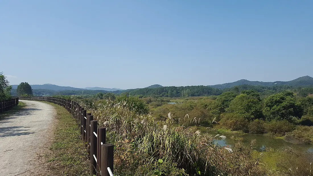 Upo Wetland Walking Trail 1