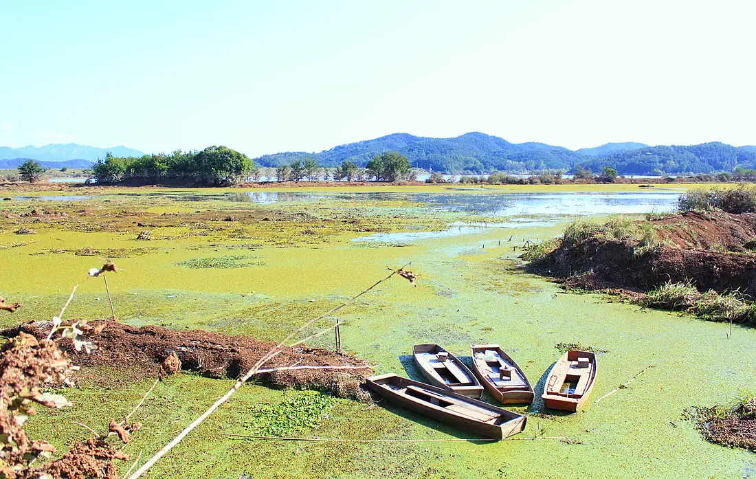 우포늪 풍경 (Upo wetlands scenery)